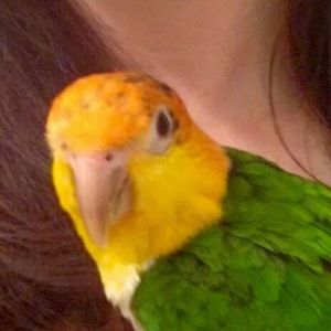 Meet your Posher, Magan